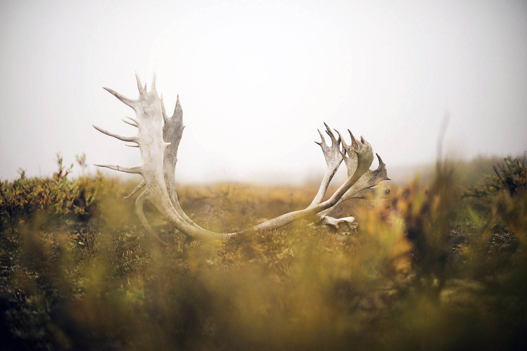 iuotyrioutyr